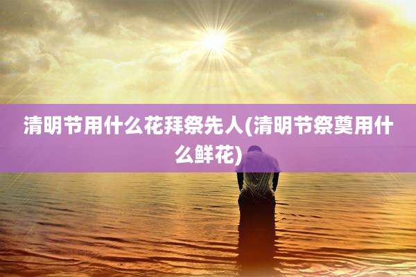 清明节用什么花拜祭先人(清明节祭奠用什么鲜花)