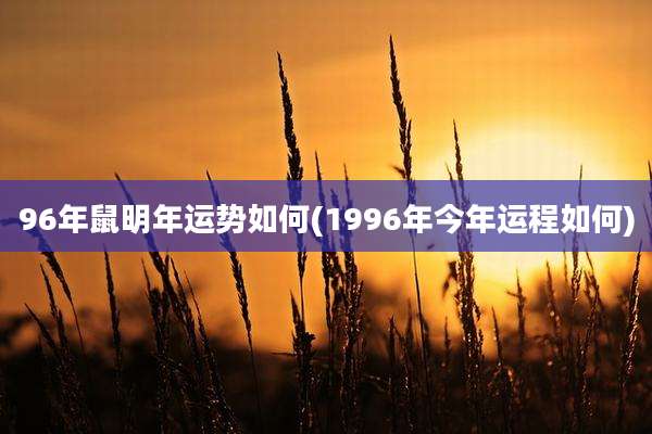96年鼠明年运势如何(1996年今年运程如何)