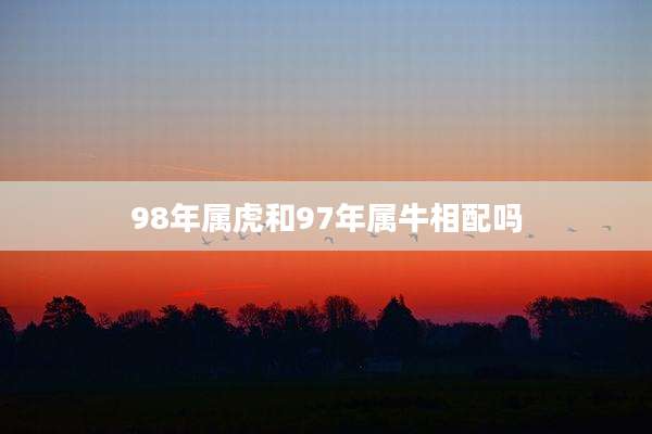 98年属虎和97年属牛相配吗