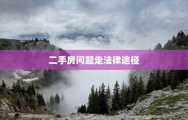 二手房问题走法律途径