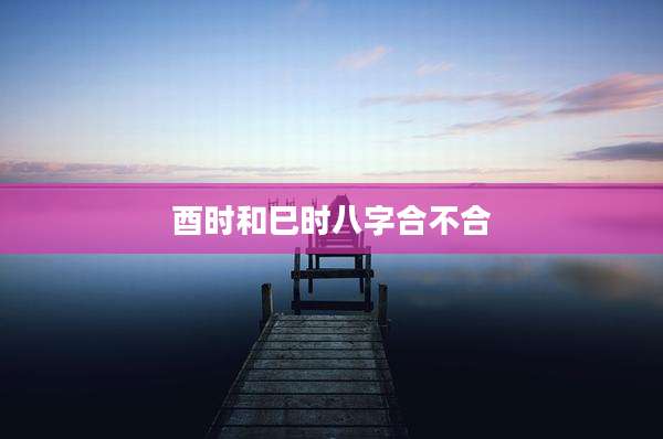 酉时和巳时八字合不合