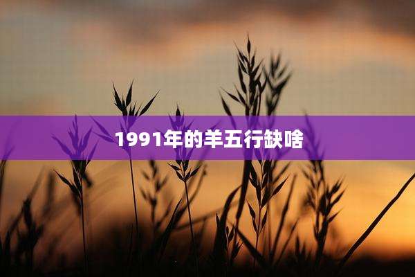 1991年的羊五行缺啥