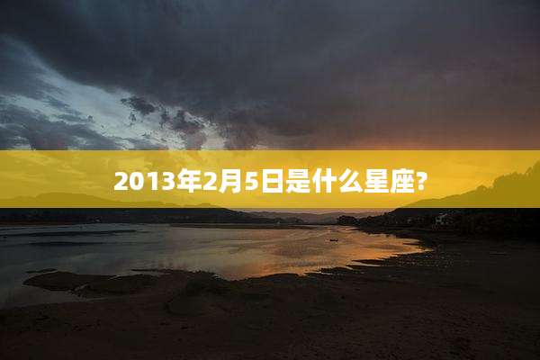 2013年2月5日是什么星座?