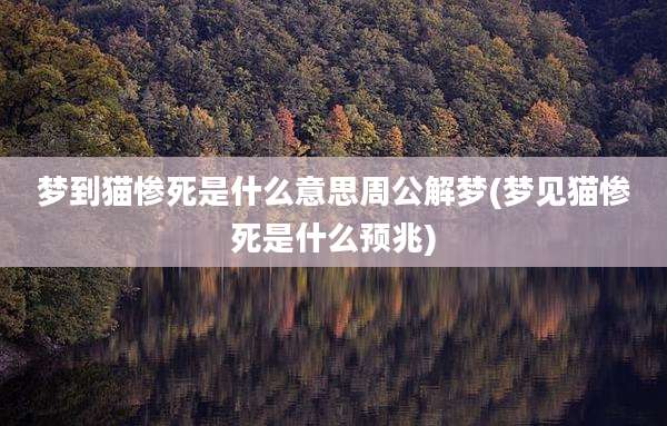 梦到猫惨死是什么意思周公解梦(梦见猫惨死是什么预兆)