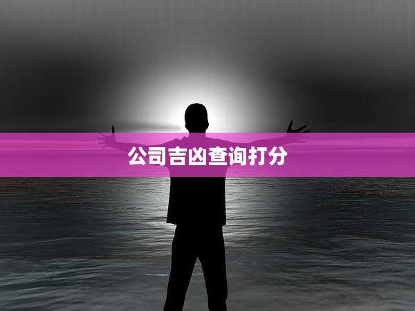 公司吉凶查询打分