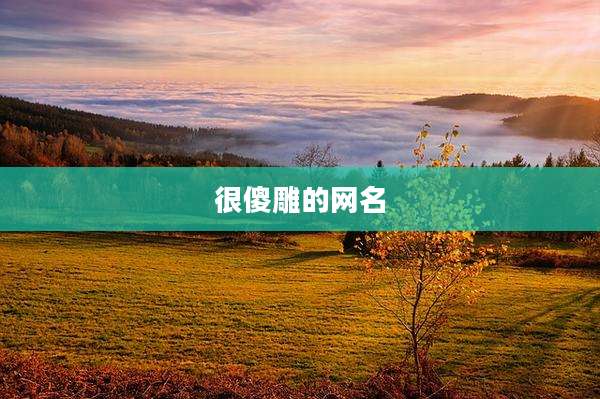 很傻雕的网名