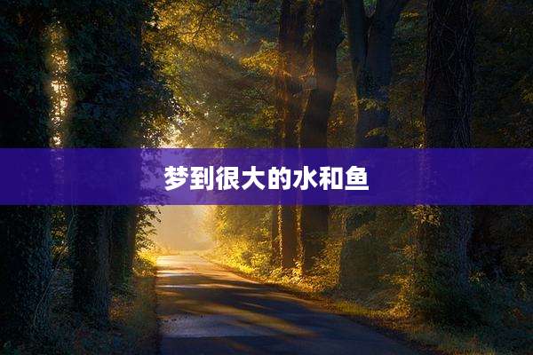 梦到很大的水和鱼