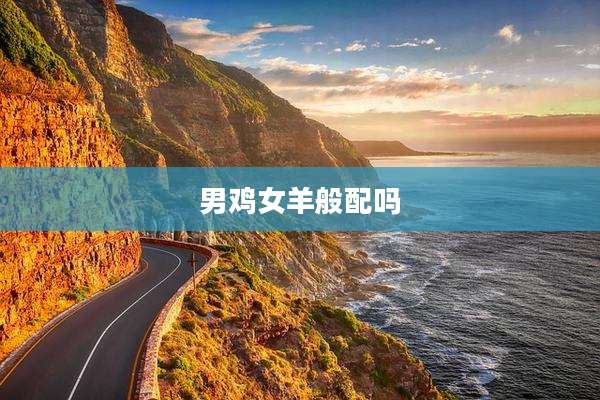 男鸡女羊般配吗