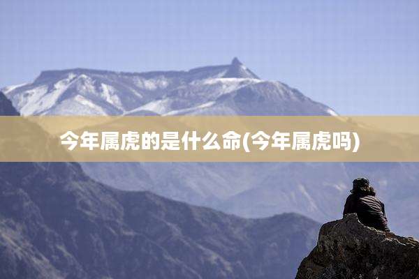 今年属虎的是什么命(今年属虎吗)
