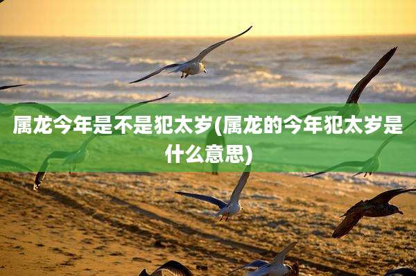 属龙今年是不是犯太岁(属龙的今年犯太岁是什么意思)