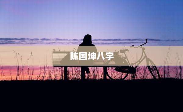 陈国坤八字