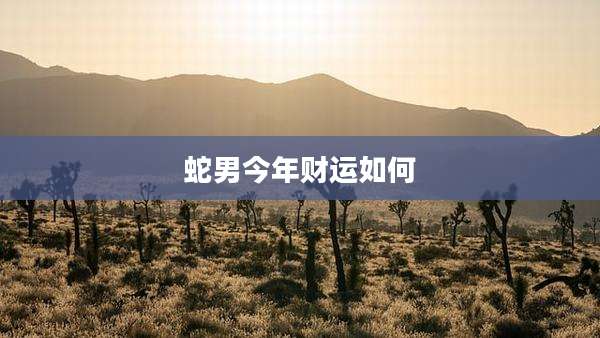 蛇男今年财运如何