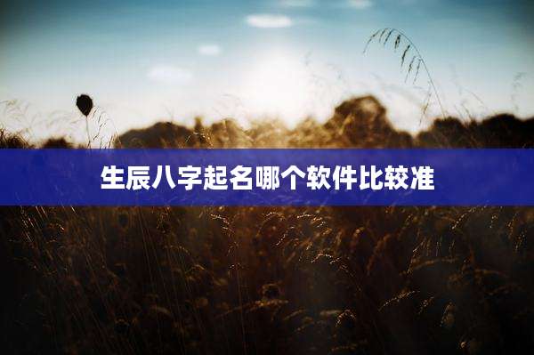生辰八字起名哪个软件比较准