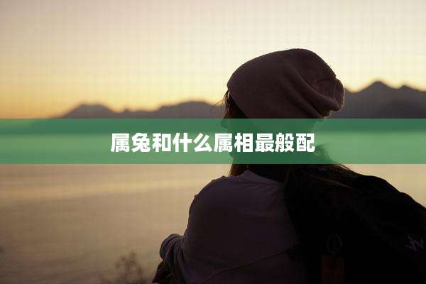 属兔和什么属相最般配