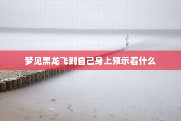 梦见黑龙飞到自己身上预示着什么