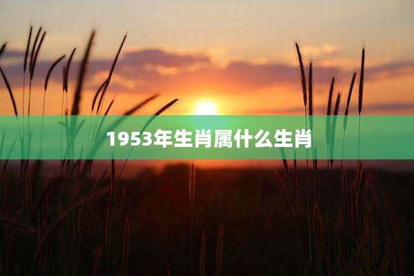 1953年生肖属什么生肖