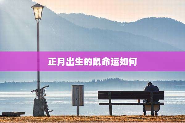正月出生的鼠命运如何
