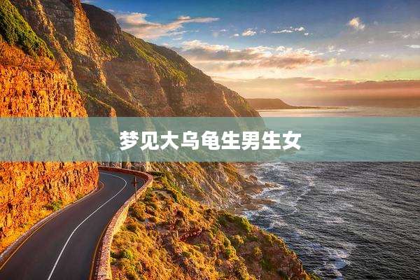 梦见大乌龟生男生女