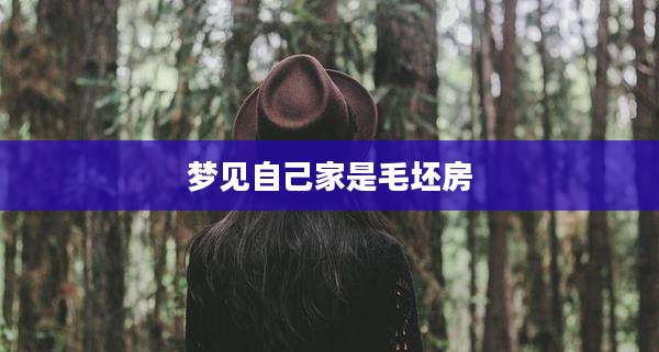 梦见自己家是毛坯房