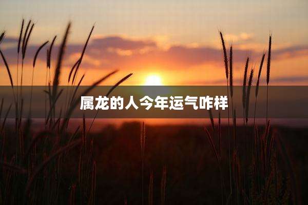 属龙的人今年运气咋样
