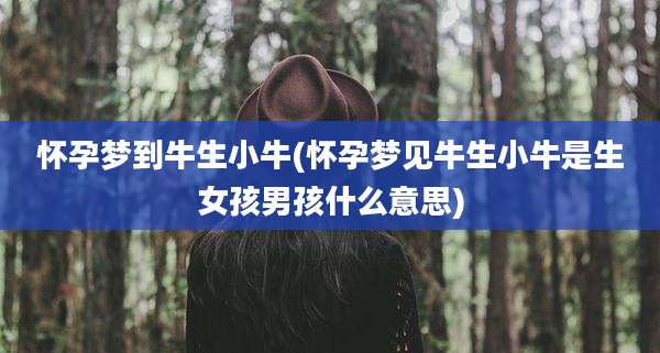 怀孕梦到牛生小牛(怀孕梦见牛生小牛是生女孩男孩什么意思)