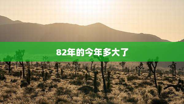 82年的今年多大了