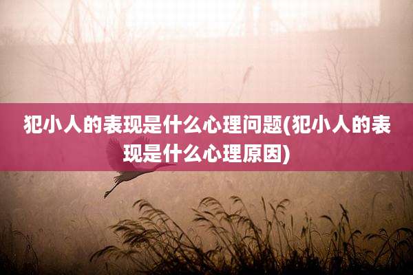 犯小人的表现是什么心理问题(犯小人的表现是什么心理原因)