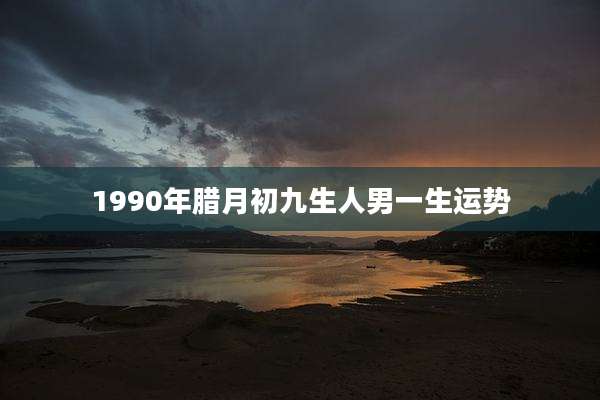 1990年腊月初九生人男一生运势