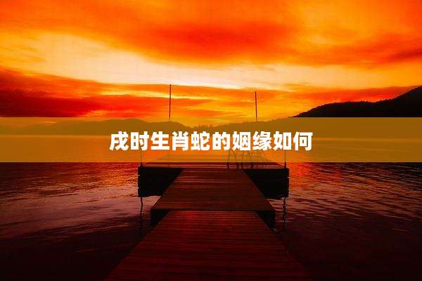 戌时生肖蛇的姻缘如何