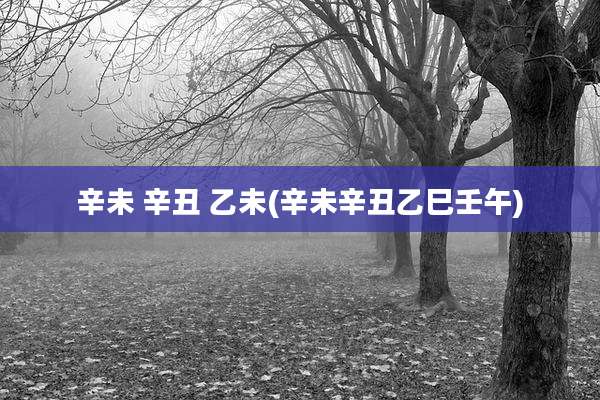 辛未 辛丑 乙未(辛未辛丑乙巳壬午)