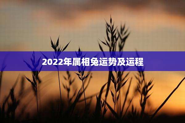 2022年属相兔运势及运程