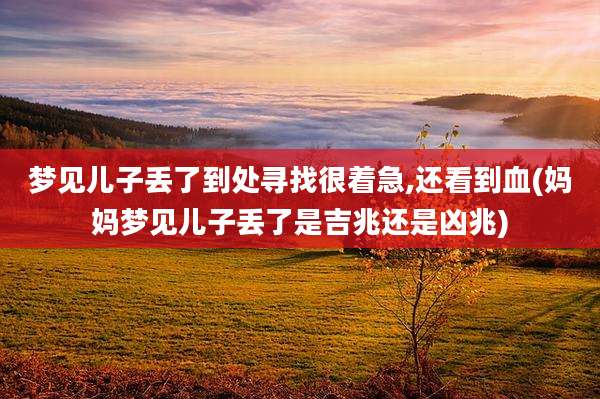 梦见儿子丢了到处寻找很着急,还看到血(妈妈梦见儿子丢了是吉兆还是凶兆)