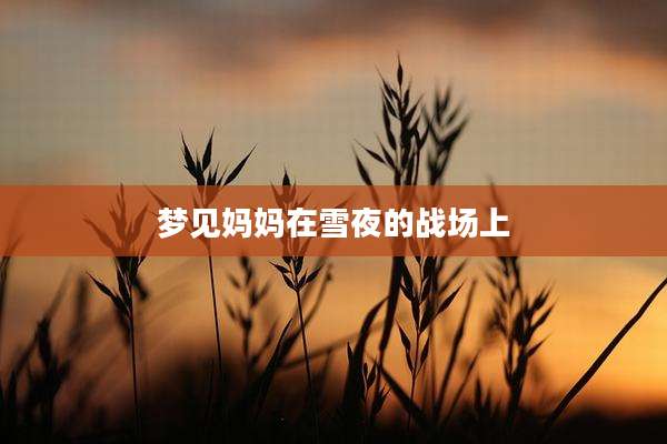 梦见妈妈在雪夜的战场上