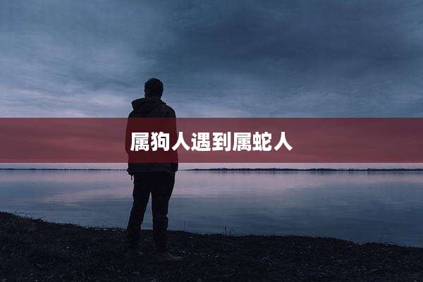 属狗人遇到属蛇人