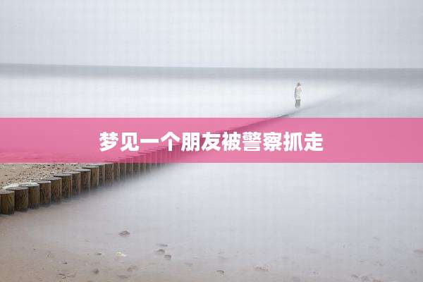 梦见一个朋友被警察抓走