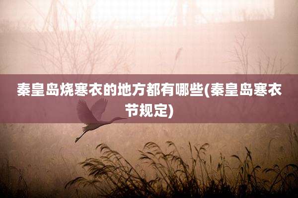 秦皇岛烧寒衣的地方都有哪些(秦皇岛寒衣节规定)