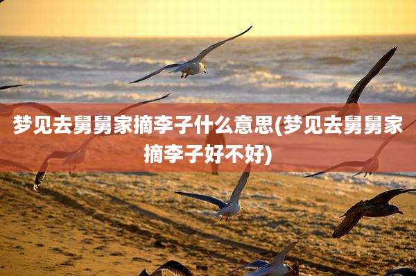 梦见去舅舅家摘李子什么意思(梦见去舅舅家摘李子好不好)