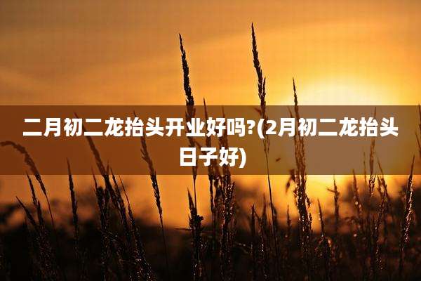 二月初二龙抬头开业好吗?(2月初二龙抬头日子好)