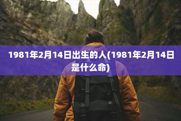 1981年2月14日出生的人(1981年2月14日是什么命)