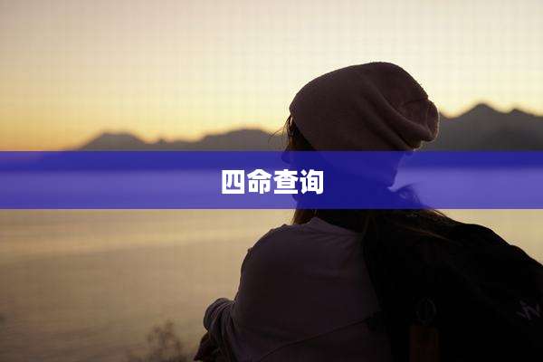 四命查询