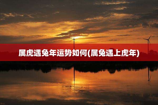 属虎遇兔年运势如何(属兔遇上虎年)