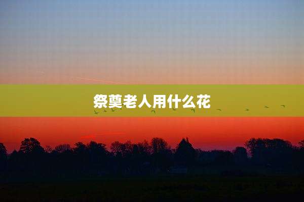 祭奠老人用什么花