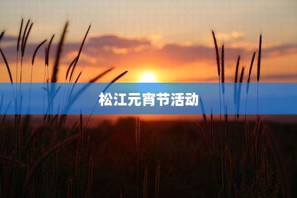 松江元宵节活动