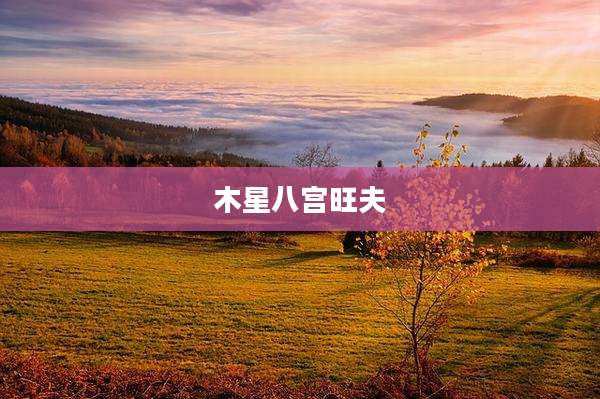 木星八宫旺夫