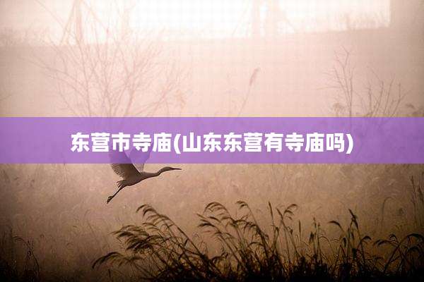 东营市寺庙(山东东营有寺庙吗)