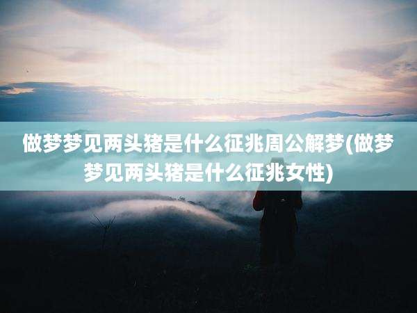 做梦梦见两头猪是什么征兆周公解梦(做梦梦见两头猪是什么征兆女性)