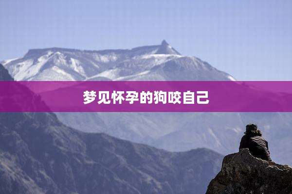 梦见怀孕的狗咬自己