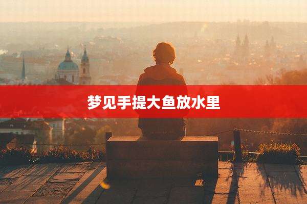 梦见手提大鱼放水里