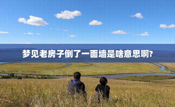 梦见老房子倒了一面墙是啥意思啊?