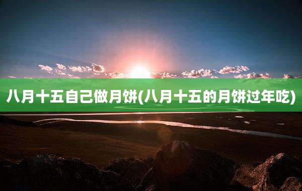 八月十五自己做月饼(八月十五的月饼过年吃)